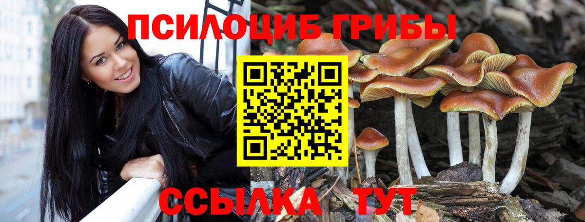 Галлюциногенные грибы прущие грибы  Вход с VPN  Псилоцибиновые грибы мухоморы  Видное 