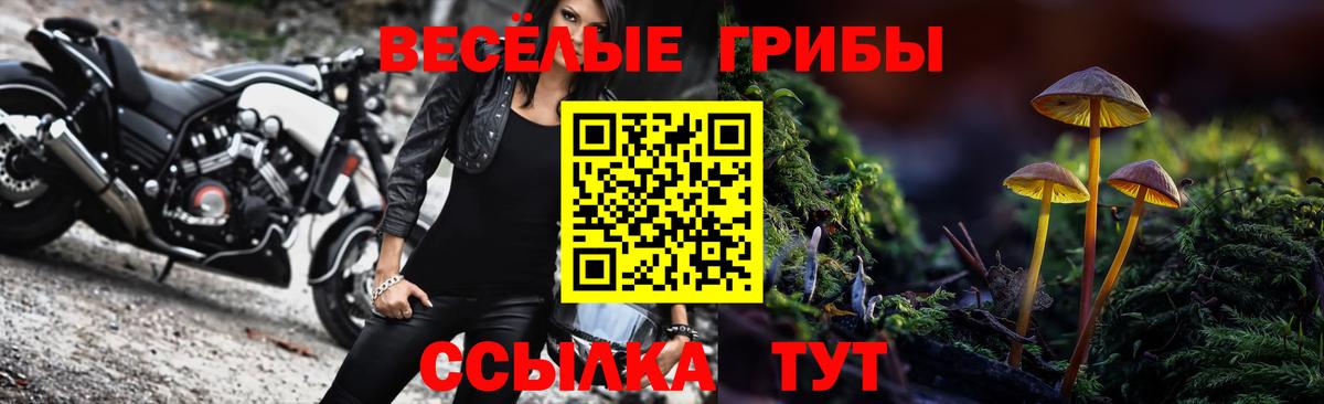 Галлюциногенные грибы ЛСД Видное